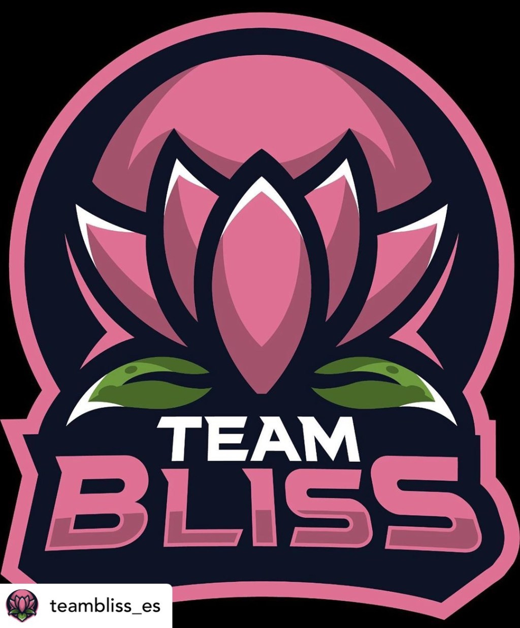 Bao Pham, Founder, Team Bliss&nbsp;Esports